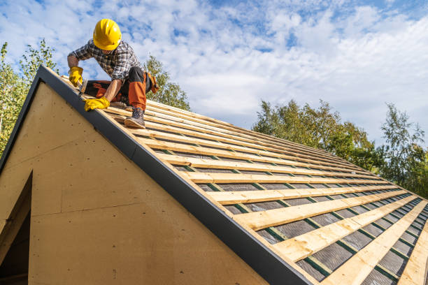 Best Roof Gutter Cleaning  in Lakeview, OR